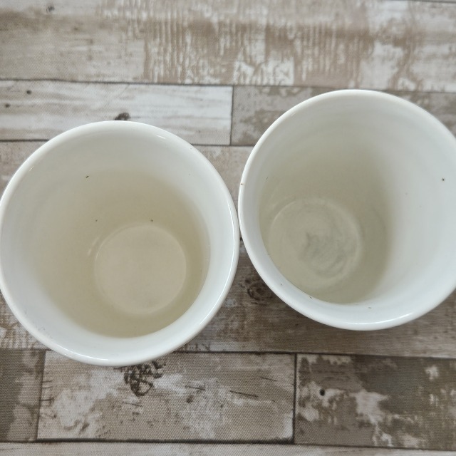 新品 ピングー ピンガ ミスタードーナツ フリーカップ 2點(diǎn)セット 2003 ミスド 食器 カップ コップ 湯呑み 和テイスト