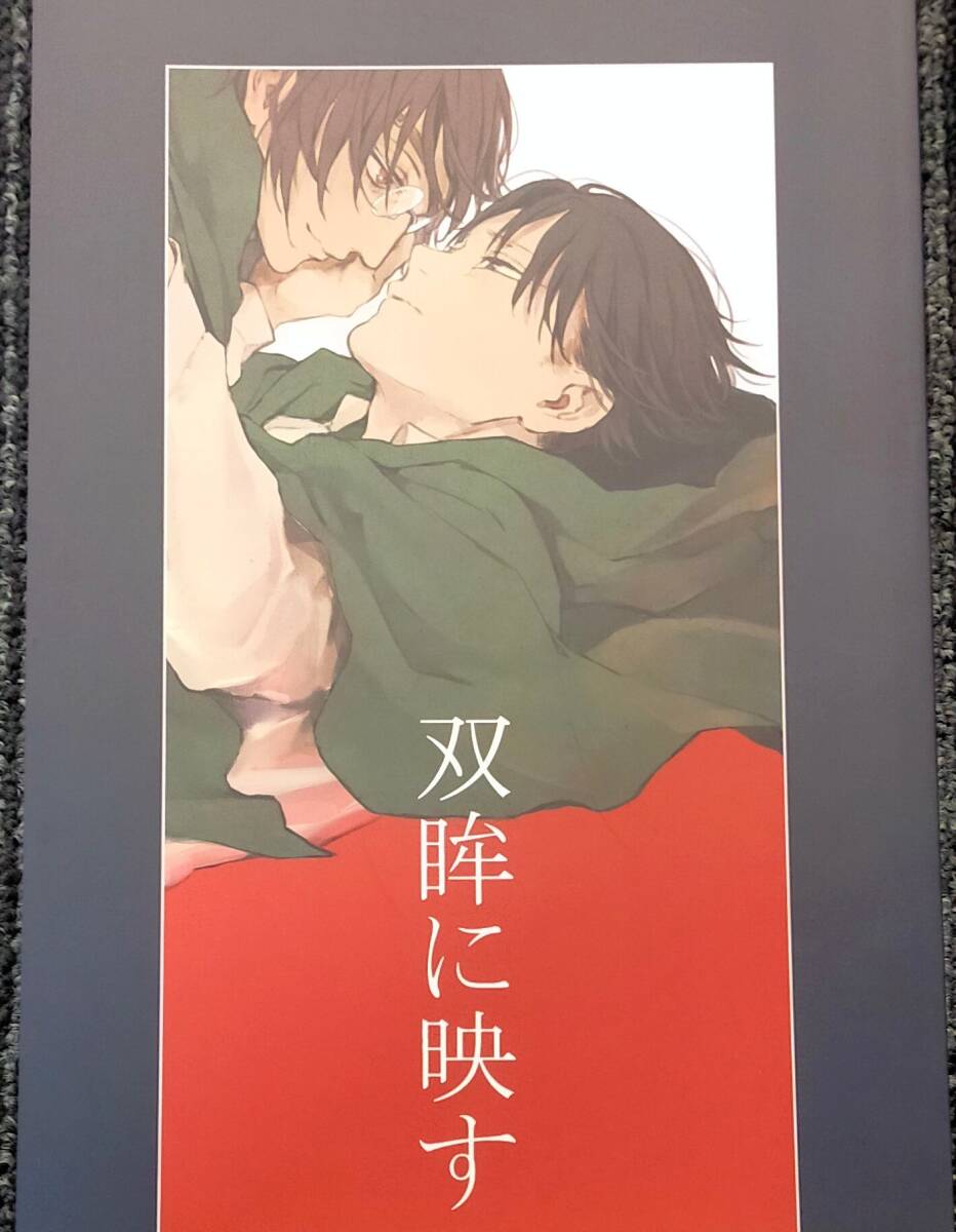 進撃の巨人「双眸に映す」 pikn/やまぶき リヴァイ×ハンジ リヴァハン