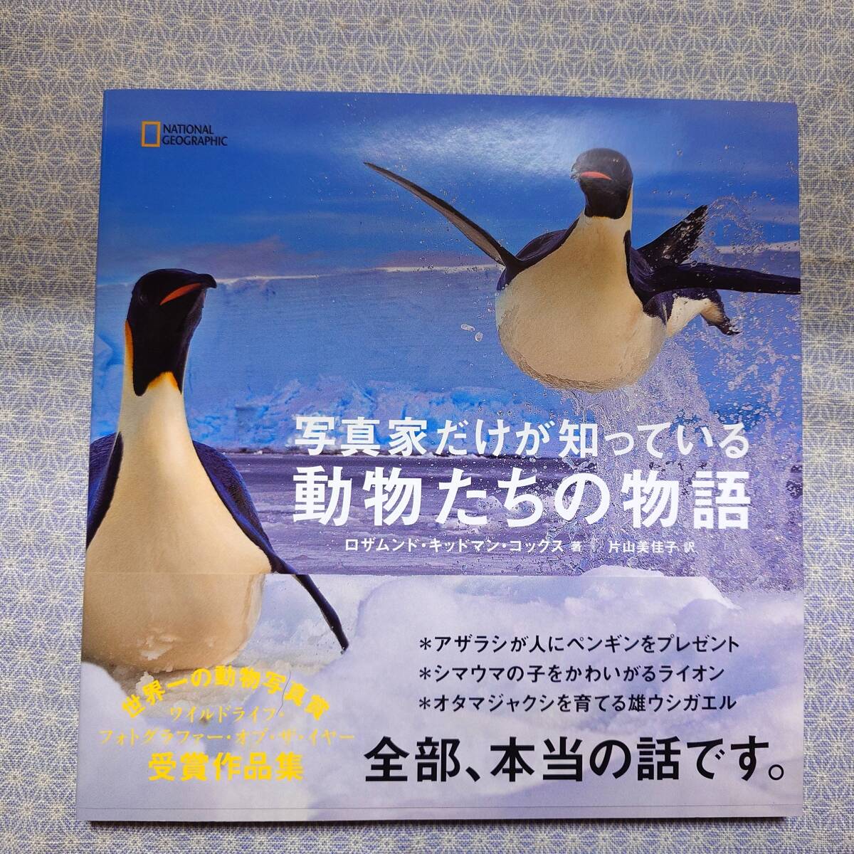 中古 写真家だけが知っている 動物たちの物語 ロザムンド・キッドマン・コックス 日経ナショナルジオグラフィック