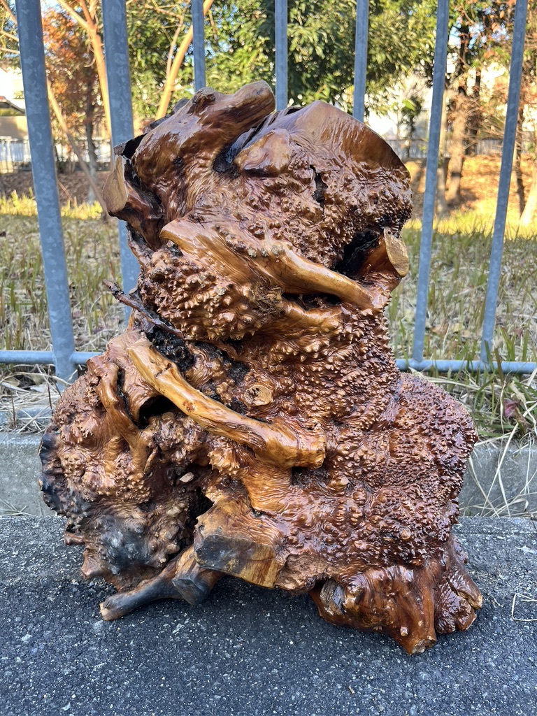 木の根っ子の切り株の置物、 木の根っ子の切り株の置物、