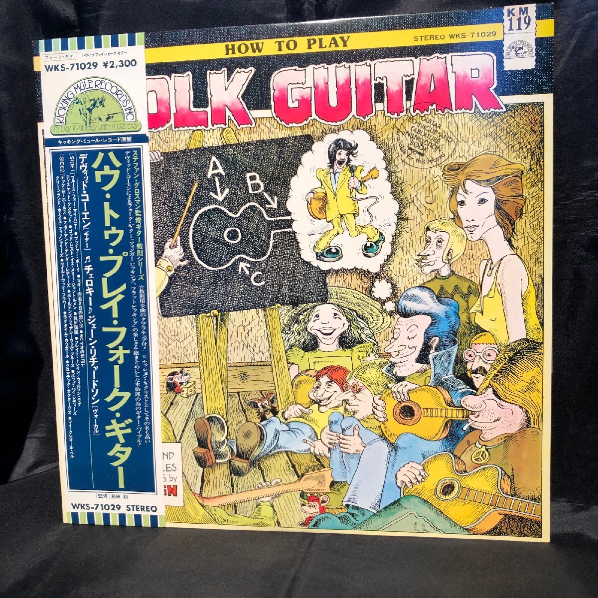 David Cohen / How To Play Folk Guitar LP Kicking Mule Records ・toshiba-emi