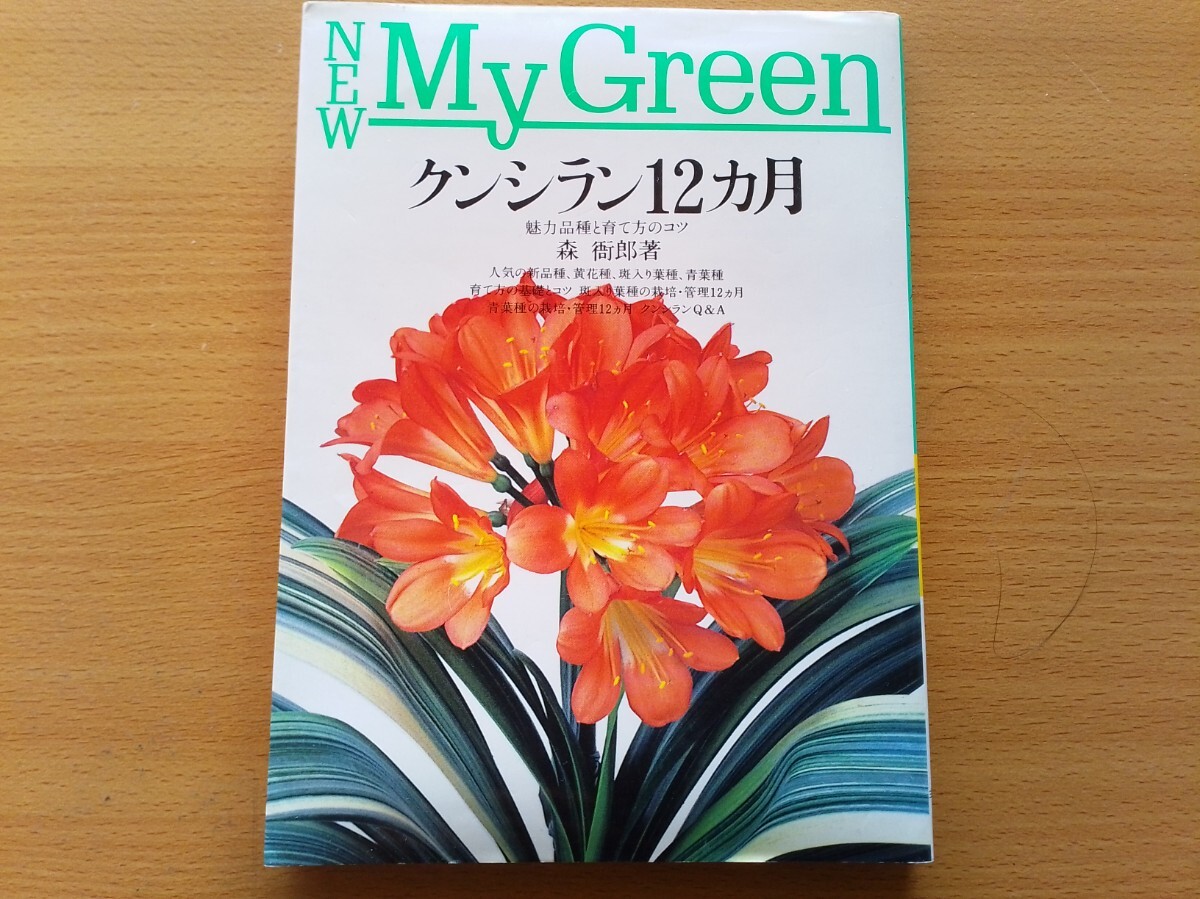 即決 君子蘭 クンシランの栽培・育て方・開花株の管理・苗の管理・病気と害虫の対策・青葉種・斑入り・普通種・古典園芸植物