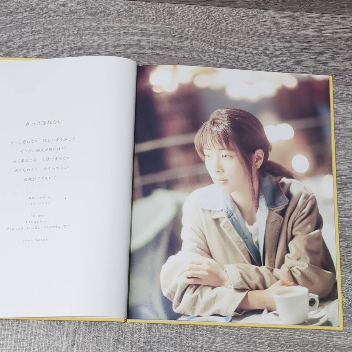 ZARD】 4冊セット portfolio du 20eme anniversaire あの微笑み ZARD】 4冊セット portfolio du 20eme anniversaire あの微笑み