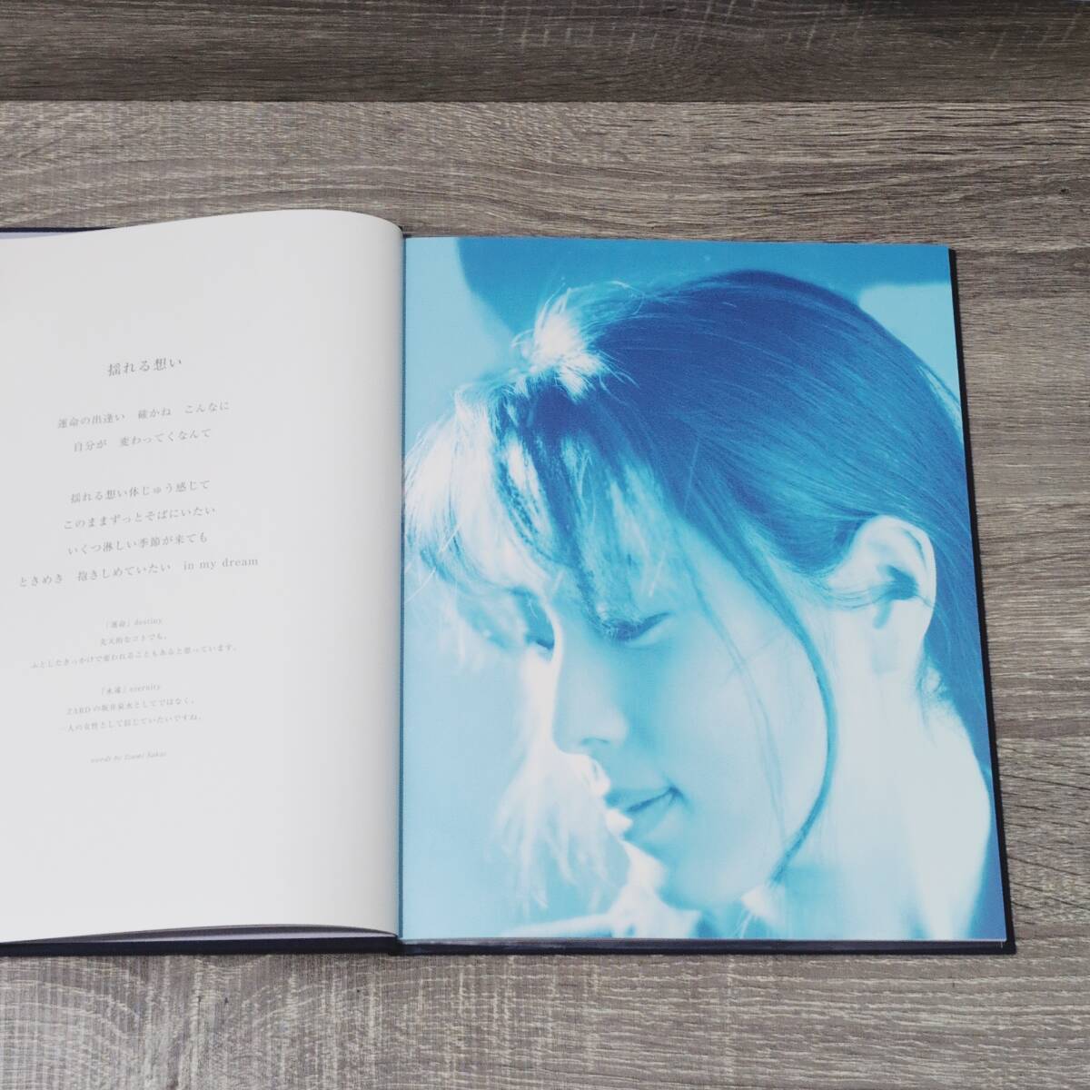 ZARD】 4冊セット portfolio du 20eme anniversaire あの微笑み ZARD】 4冊セット portfolio du 20eme anniversaire あの微笑み