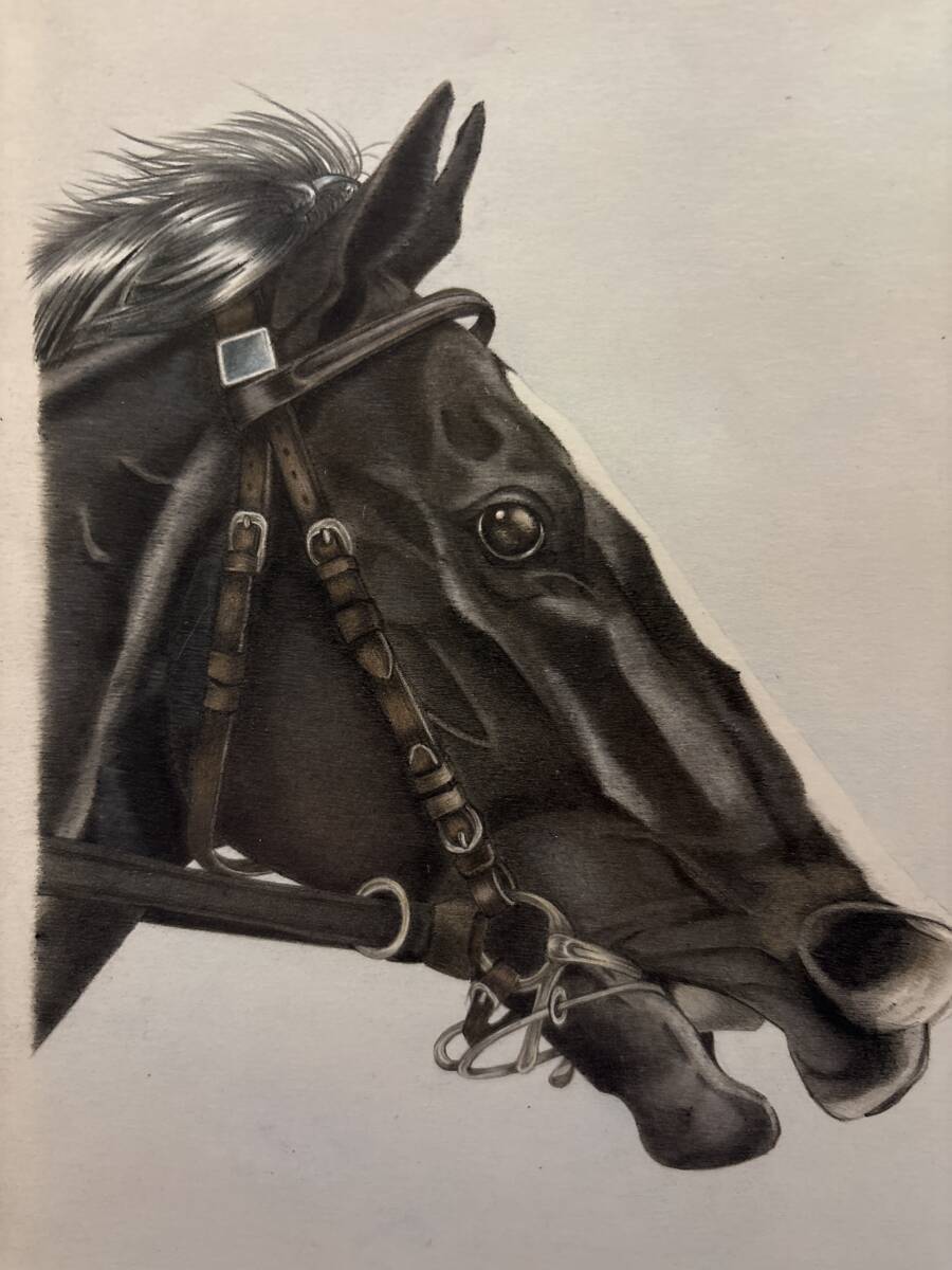 イクイノックス 自作イラスト(色鉛筆)(競馬)|売買された イクイノックス 自作イラスト(色鉛筆)(競馬)|売買された