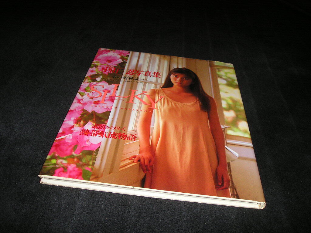 中山忍 写真集　シルキー SILKY　野村誠一　ワニブックス