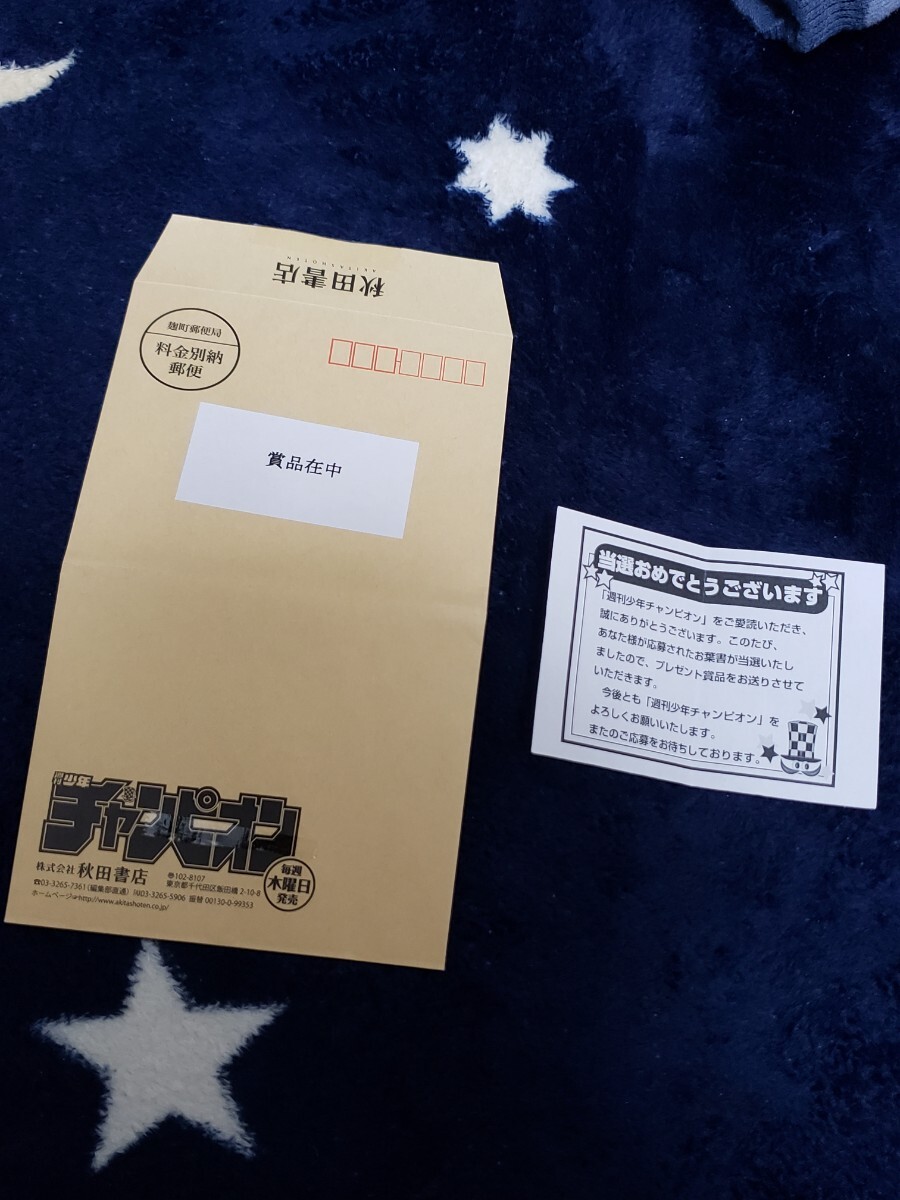 抽プレ当選品 本郷柚巴 直筆サイン入り 水着 チェキ 当選通知書 抽プレ当選品 本郷柚巴 直筆サイン入り 水着 チェキ 当選通知書