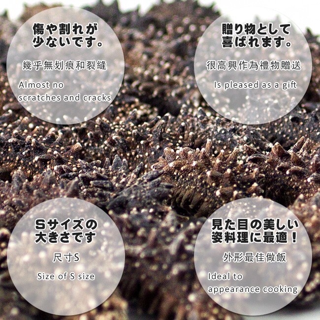 干燥ナマコ特A級(jí)品Sサイズ50g 1本4g～6g前后(特Aランク)北海道産干燥なまこ 金ん子海鼠！北海キンコ 干しなまこ【メール便対応】