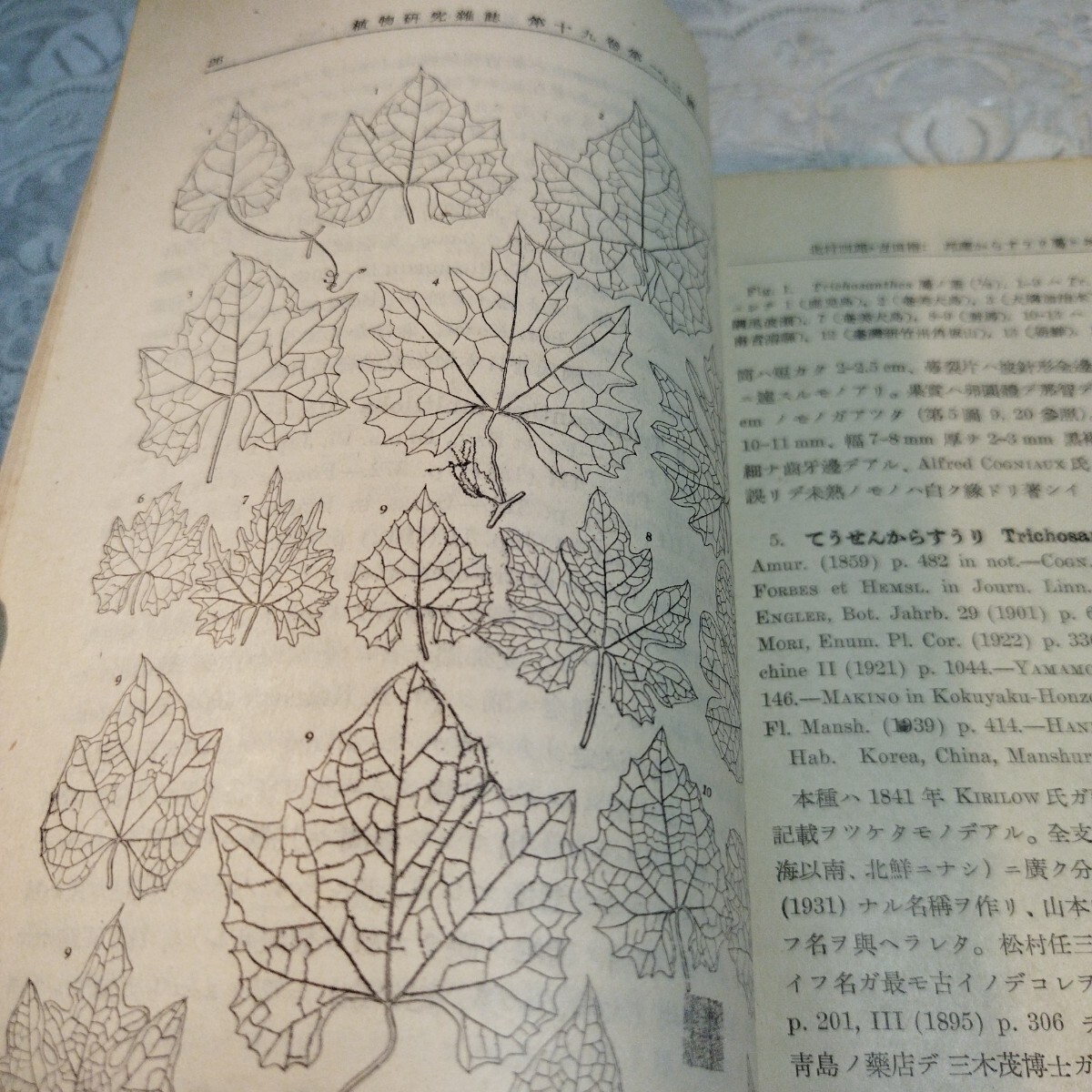 item_image_10
