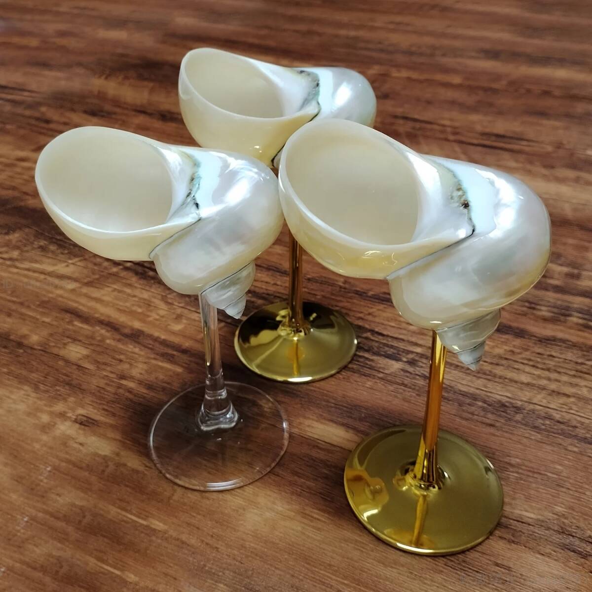 天然巻き貝 ワイングラス 手作り マティーニグラス カクテルグラス 飲用グラス ウェディングギフト HOM166