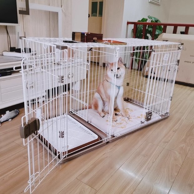ヴィラフォート 2ルームパピーサークル