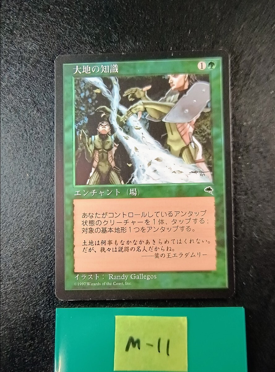 大地の知識 日本語 Yahoo!オークション - (M-11) MTG 大地の知識/Earthcraft (日本