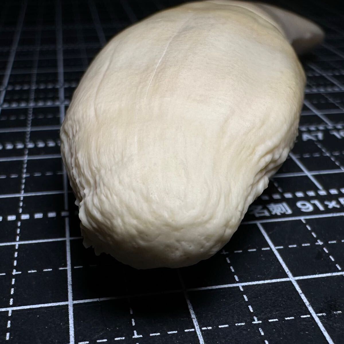 クマの牙 8cm Yahoo!オークション - 怪物級 【ヒグマの牙 85.0㎜】熊 羆 クマ