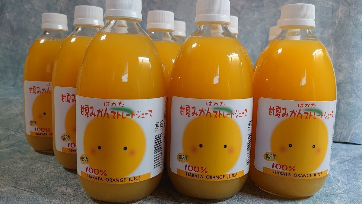 セール特価!愛媛県産果汁100%甘夏みかんストレートジュース専用500㎜×12本
