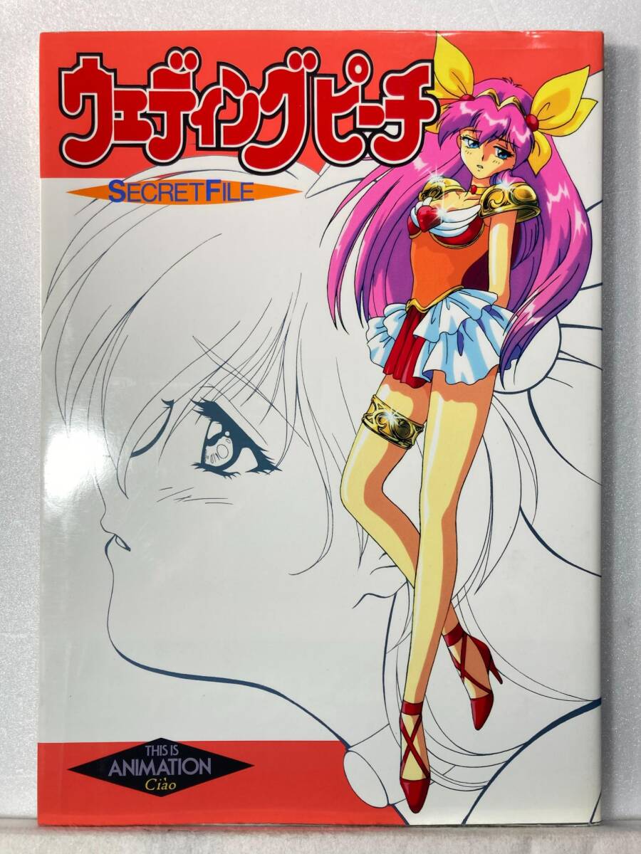 中古】 在日日系ブラジル人の子どもたち 異文化間に育つ子どもの 中古】 在日日系ブラジル人の子どもたち 異文化間に育つ子どもの