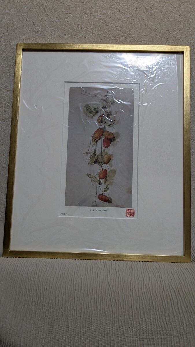 中古】M▽森崎修太 ヨット遊ぶ海 1982年 (37888)