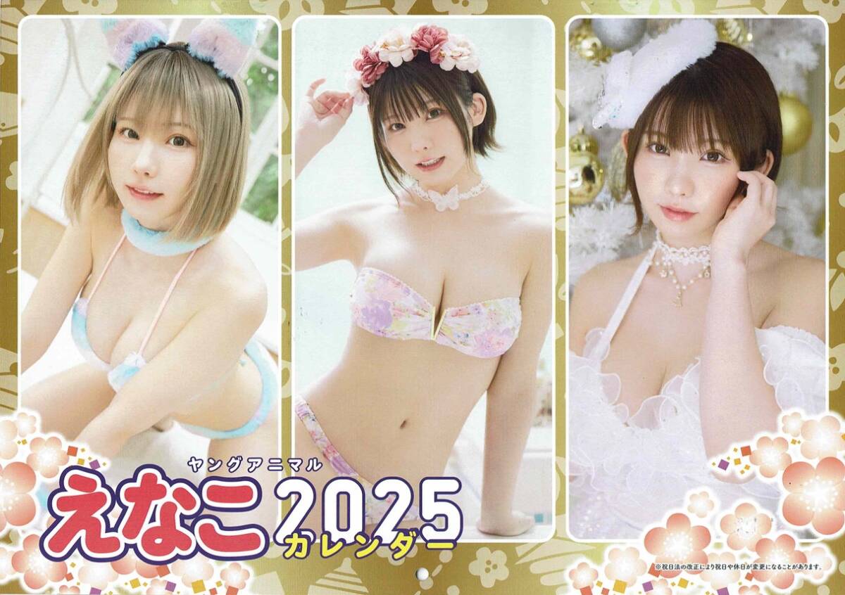 えなこ　2025年　カレンダー　ヤングアニマル　2024年24号　白泉社　えなこ　みゃこ_画像4