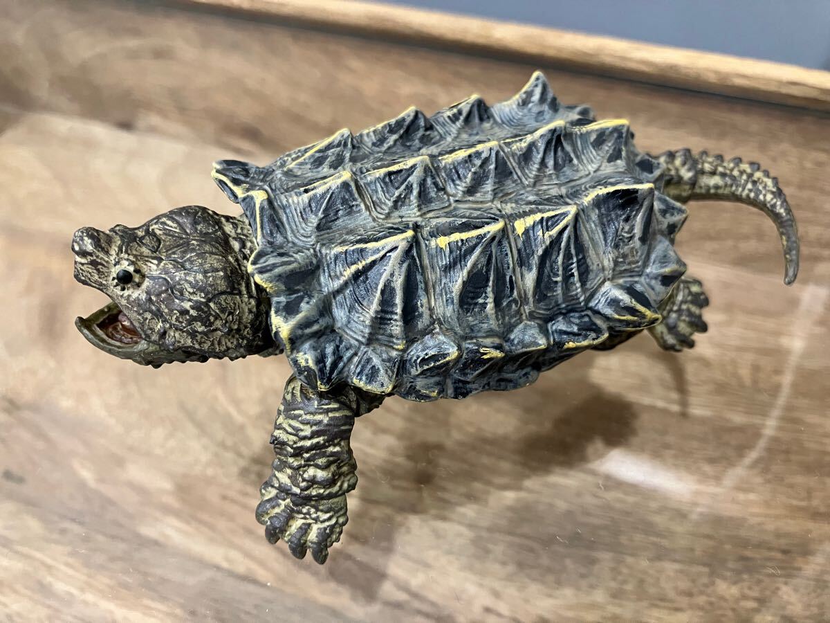 ワニガメ alligator snapping turtle フィギュア BANDAI ワニガメ alligator snapping turtle フィギュア BANDAI