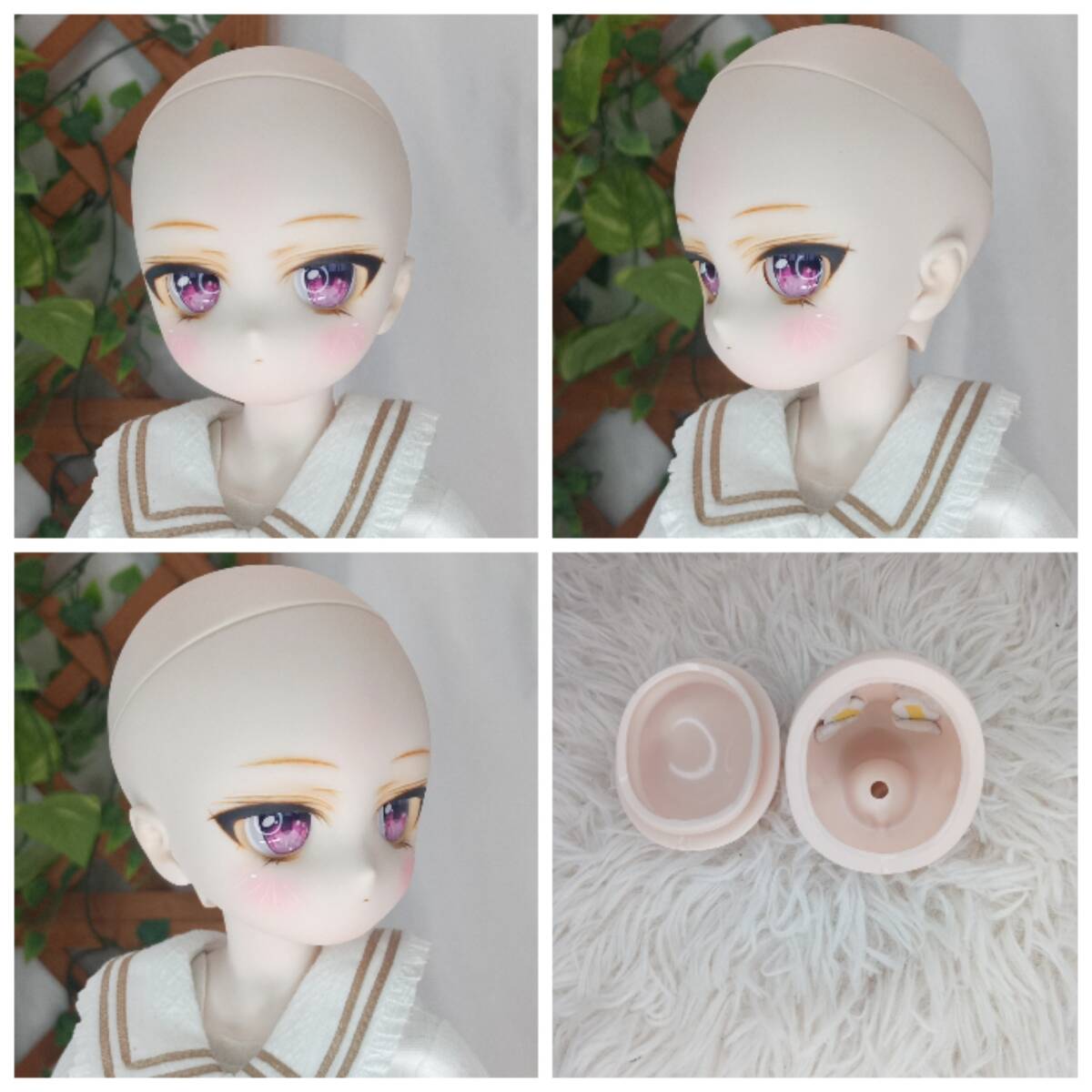 2024年冬【法人向けお歳暮】 燈籠茶屋】DDH-29 セミホワ カスタムヘッド+お試しデカールアイ パーツ