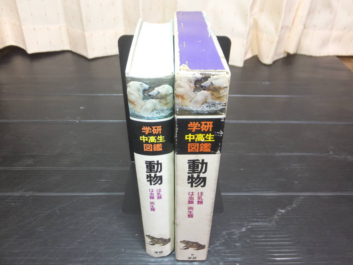 古本 古書 学研 中高生 図鑑 動物 ほ乳類 は虫類 両生類 1975年 古本 古書 学研 中高生 図鑑 動物 ほ乳類 は虫類 両生類 1975年