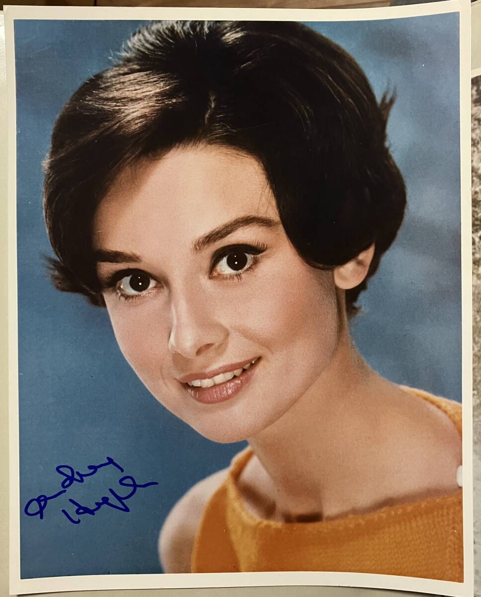 英国女優・舞台女優 オードリーヘップバーン(Audrey Hepburn 英国女優・舞台女優 オードリーヘップバーン(Audrey Hepburn