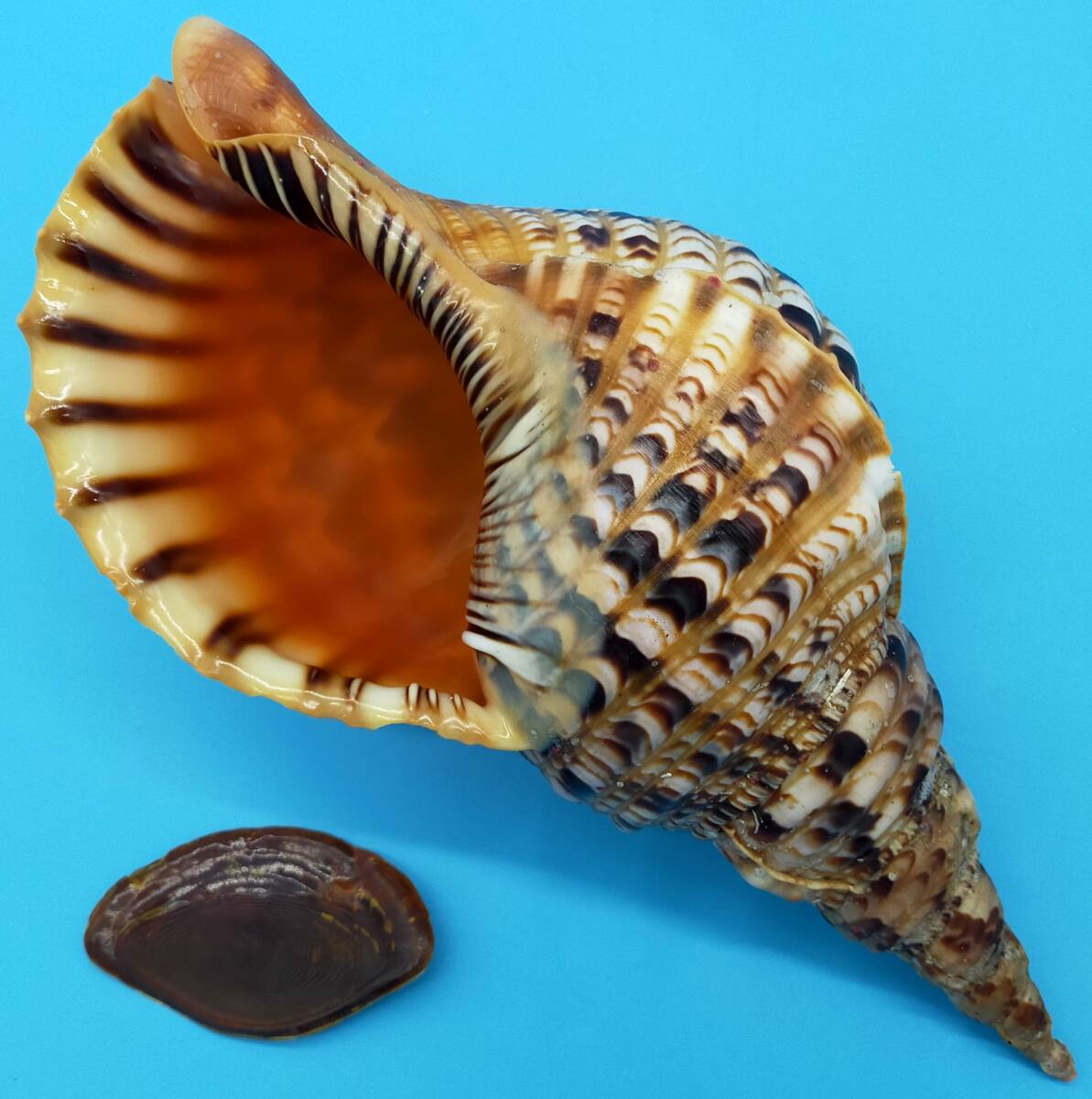 ヘレンド 飾り物 オーナメント ピンクの薔薇 ハンドメイド ヘレンド 飾り物 オーナメント ピンクの薔薇 ハンドメイド
