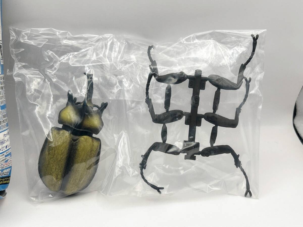 ムシキング新甲虫図鑑２　フィギュア確認用