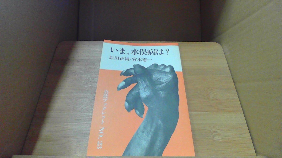 いま、水俣病は? 岩波ブックレット NO.23 /DBZM