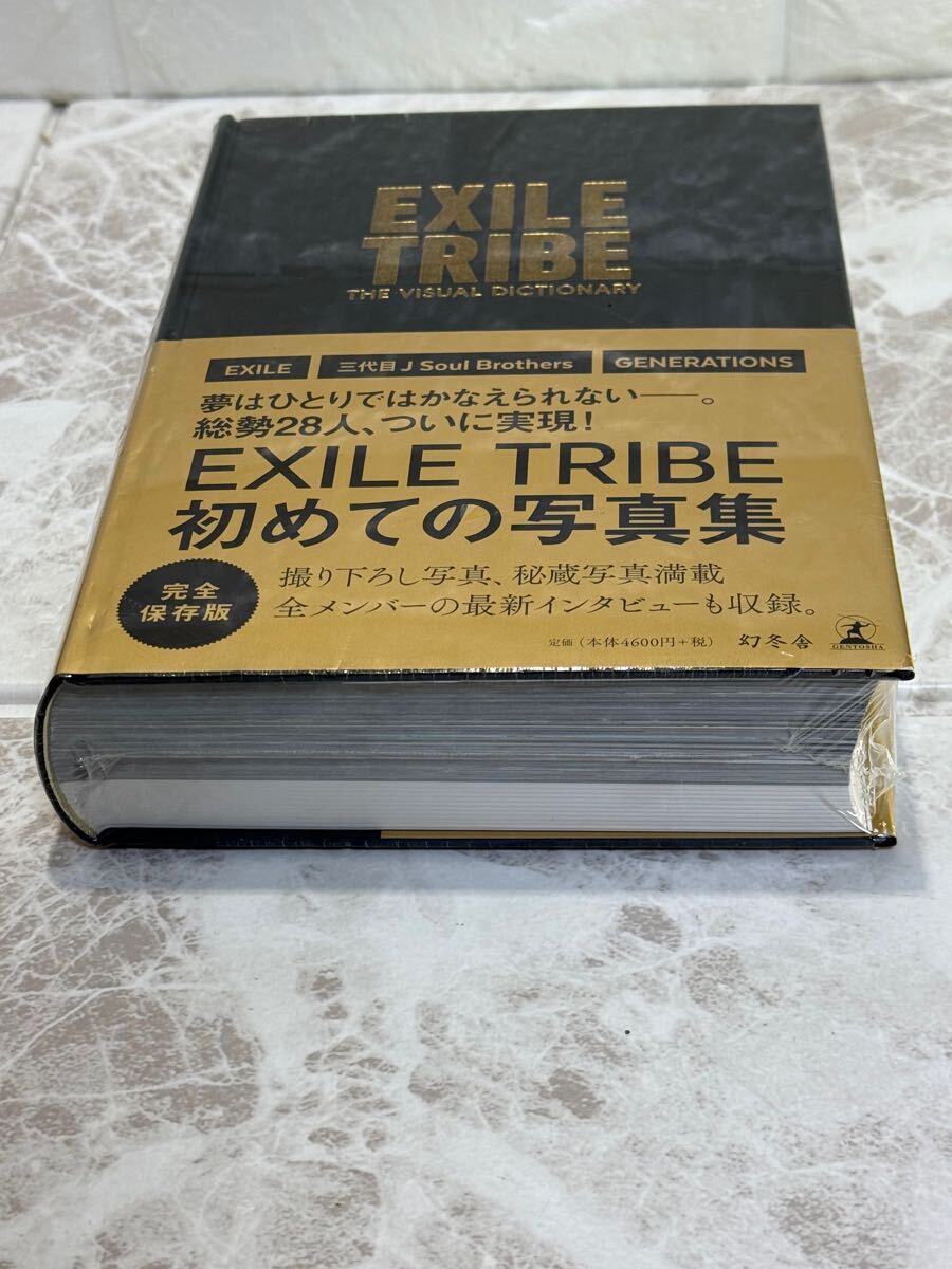 ☆未使用☆ EXILE TRIBE Thevirtualdictionary