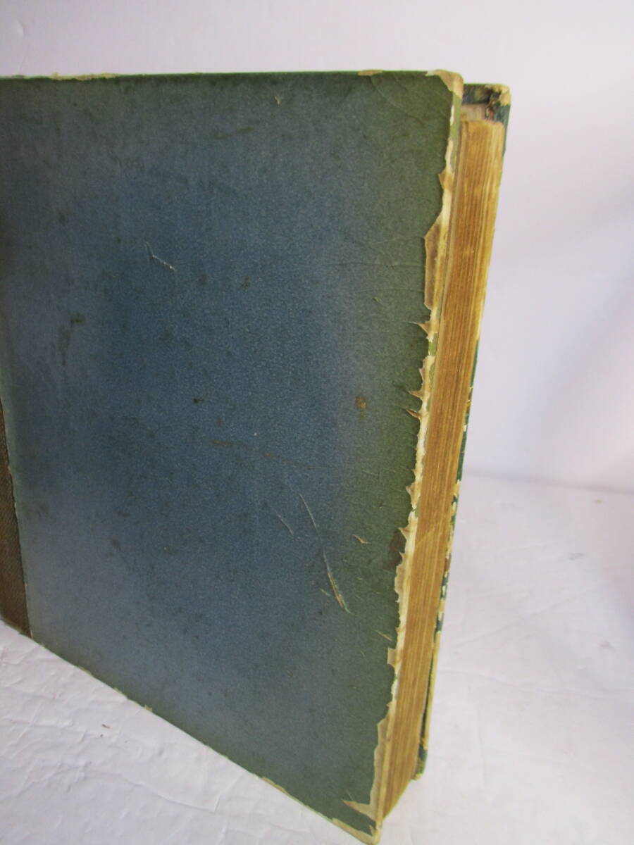 item_image_10