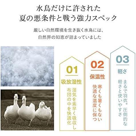 【在庫限り】 エムール 掛け布団 羽毛布団 布団 春 夏 シングル 洗える ダウンパワー280dp 30マスキルティング 抗菌 防臭 フランス産 ホワ