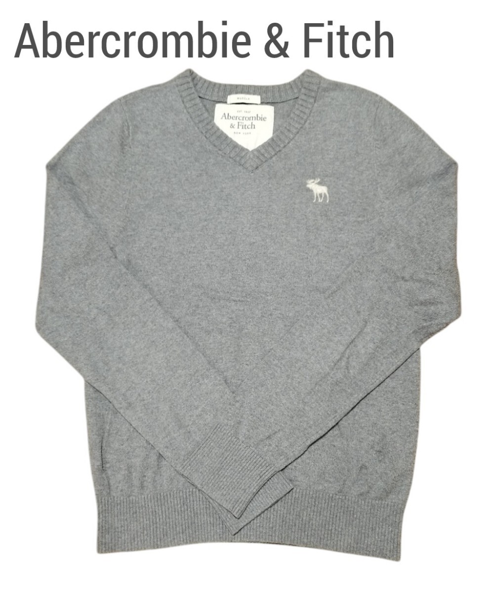 【美品】Abercrombie & Fitch レディースニット M