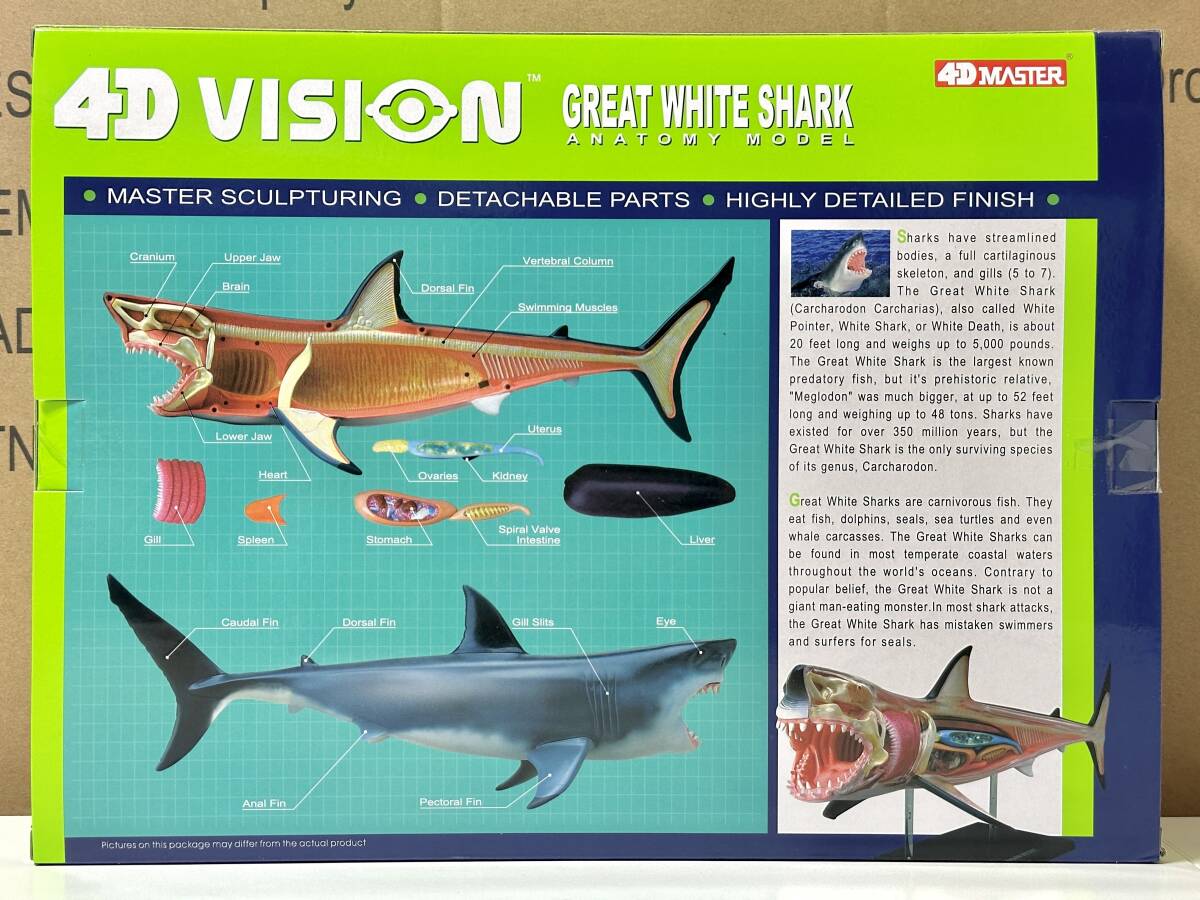 最新モデル ホホジロザメ 4Dビジョン 新品未開封 解剖モデル VISION 4D 立体パズル