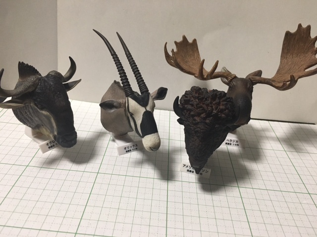 立体カプセル百科事典 ツノのある動物図鑑 国立科学博物館 大 立体カプセル百科事典 ツノのある動物図鑑 国立科学博物館 大