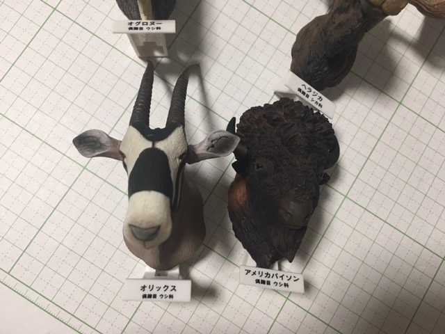立体カプセル百科事典 ツノのある動物図鑑 国立科学博物館 大 立体カプセル百科事典 ツノのある動物図鑑 国立科学博物館 大
