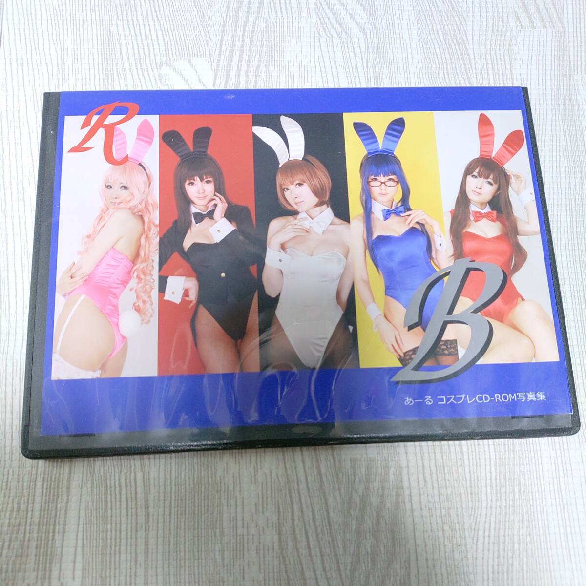 【ラッピング不可】 あーる B Ndk+Rk Different World コスプレ 写真集 ROM 中古 その他
