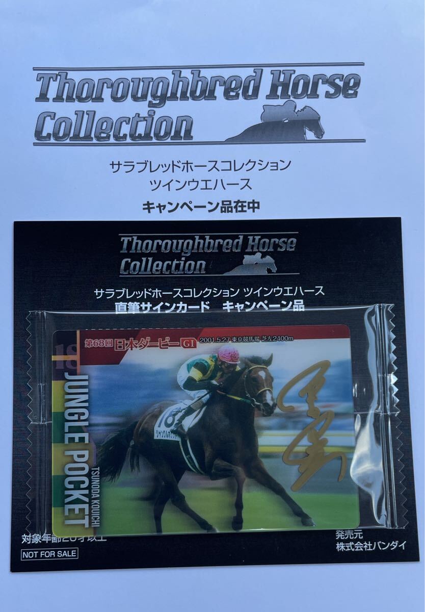 JRA 角田晃一騎手 直筆サイン入トートバッグ - メルカリ|トート JRA 角田晃一騎手 直筆サイン入トートバッグ - メルカリ|トート
