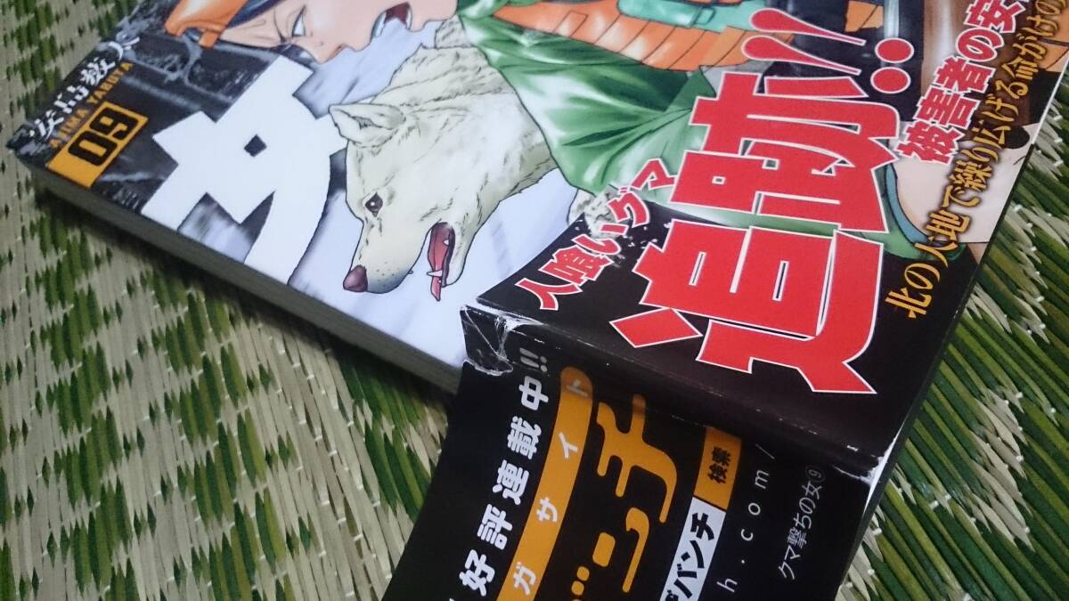 Yahoo!オークション - 中古 クマ撃ちの女 最新全1～14巻まで