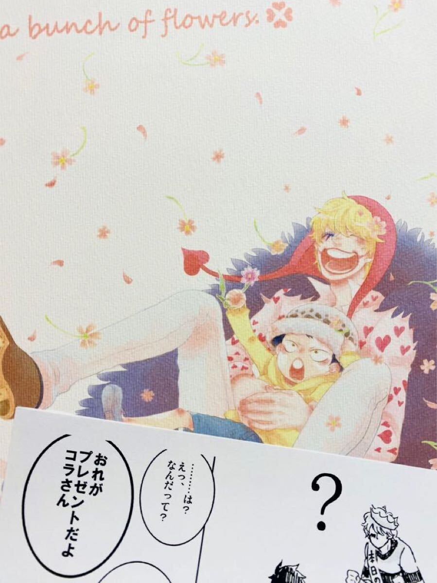 郁恵コラ 奈保子コラ アグネスコラ 