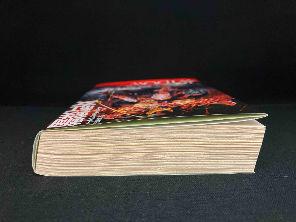 鋼鉄紅女 シーラン・ジェイ・ジャオ_画像3