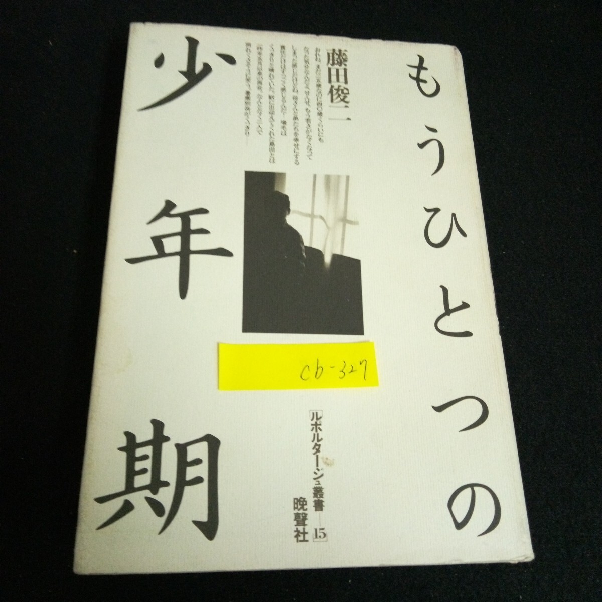 Cb-327/もうひとつの少年期 ルポルタージュ叢書15 著者/藤田俊二 発行者/和多田進 株式会社晩聲社 1979年発行 /L4/61227