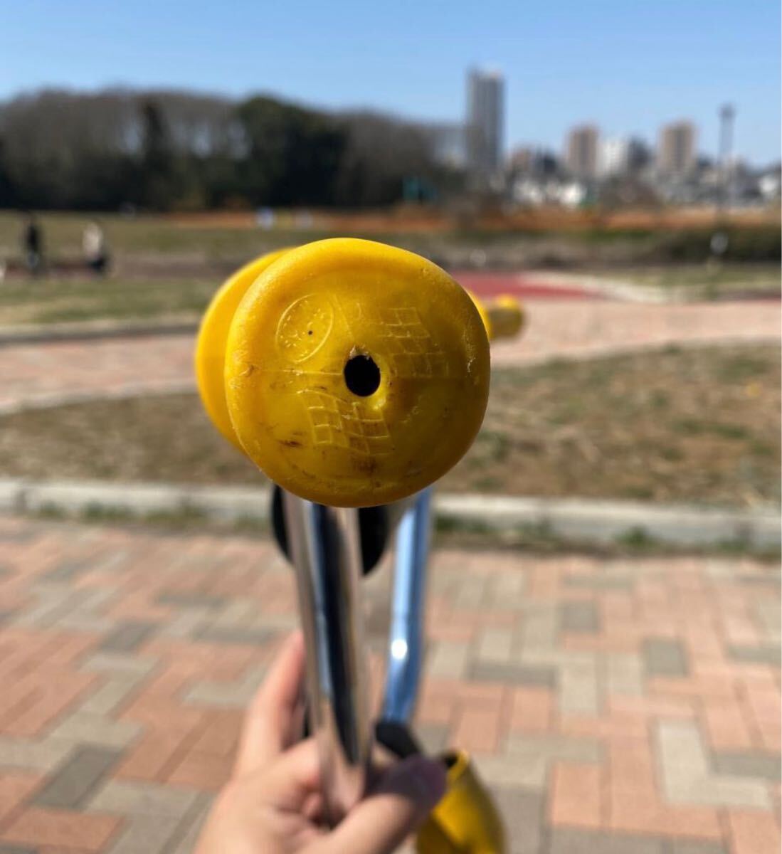 Team Schwinn シュウィン Phantom ビンテージ 自転車(chē) BMX