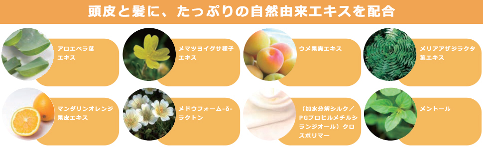  новый товар бесплатная доставка 10 шт. комплект Crennak Rena мед крем шампунь камера 60g×10шт.@ мед цветочный все в одном уход 