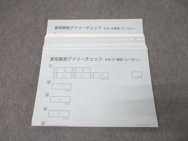 QA01-001 SAPIX サピックス 6年 夏期算数デイリーチェック01～18(レベルL) テスト計18回分セット 21m2D