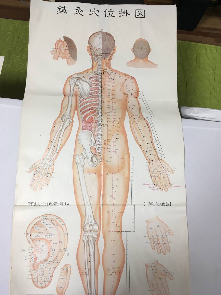 鍼灸穴位掛図３枚　臨床鍼灸穴位解説書(shū)　橫山瑞生　谷口書(shū)店　針灸　経穴　ツボ　経絡(luò)
