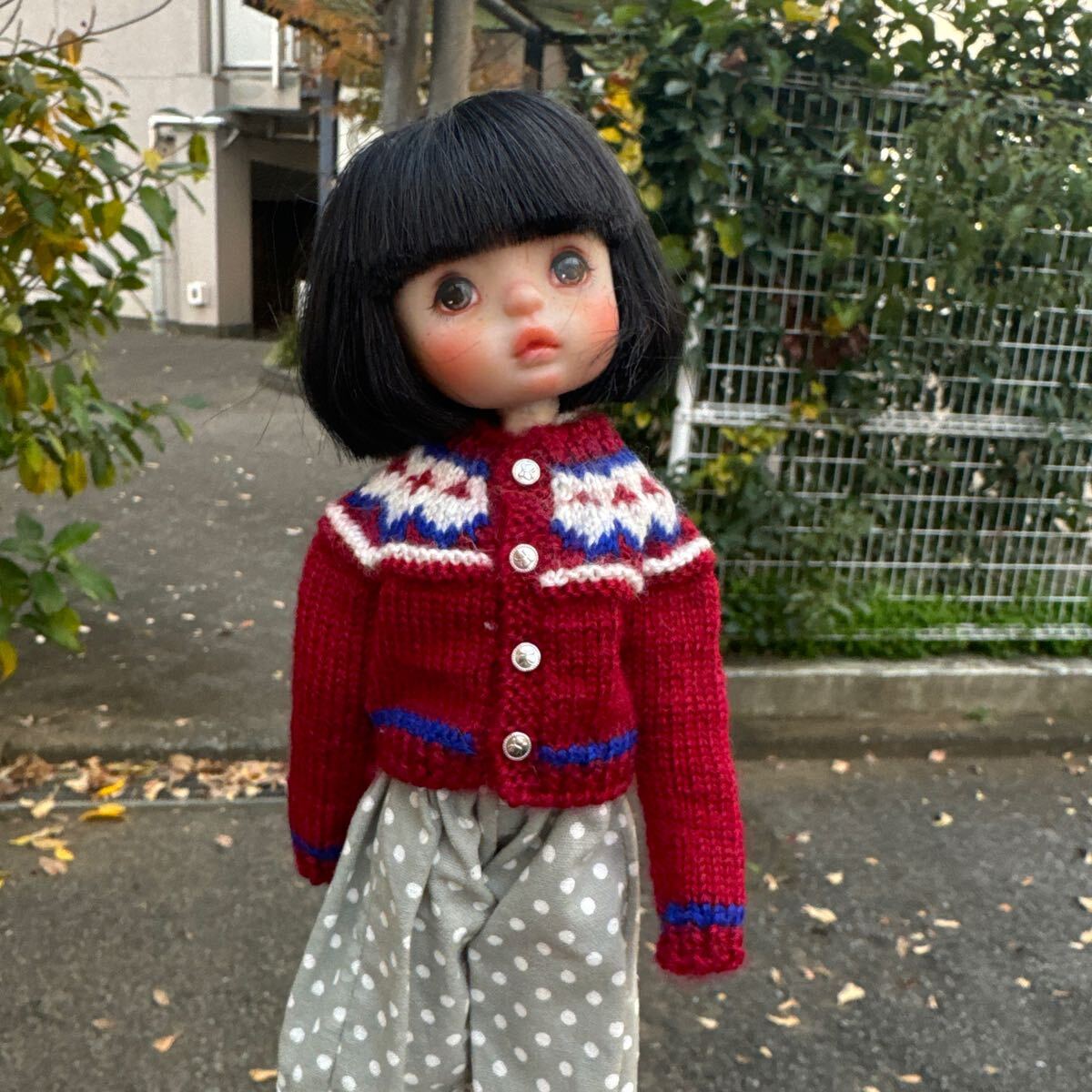 Momoko、ネオブライス ,Blythe さん手編セータ-6