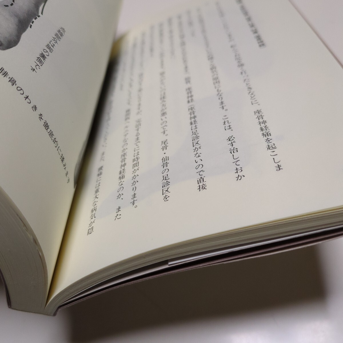 改訂版 足醫(yī)術(shù)完全図解 原田秀康 福昌堂 ※付録の足心棒なし 中古 古書(shū) 健康 ツボ 01001F028
