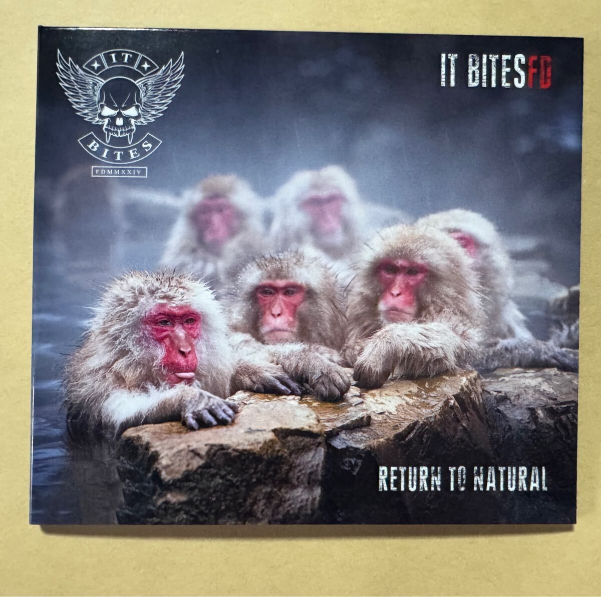 (サブスク未配信)IT BITES FD/Return To Natural 輸入盤　Francis Dunnery