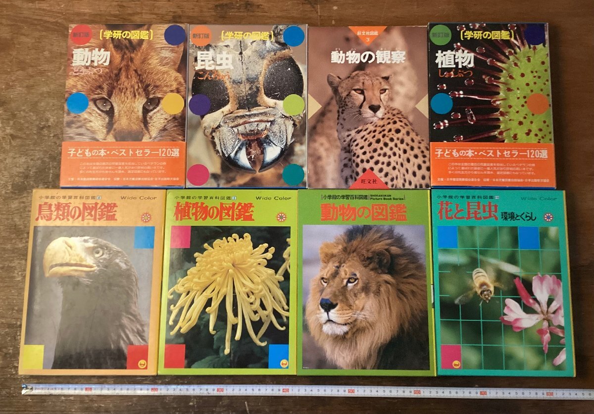 HH-9903■送料込■学研の図鑑 新訂版 小学館 学習百科図鑑 旺文社図鑑 図鑑 動物 植物 昆虫 鳥類 写真 古本 印刷物 ●まとめて8冊/くNKら