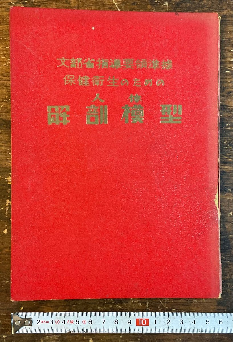 LL-9996■送料込■文部省指導要領準拠 保健衛生のための人体解剖模型 佐野幹 医学書 教本 解剖図 本 古本 古書 印刷物 昭和31年 15P/くYAら